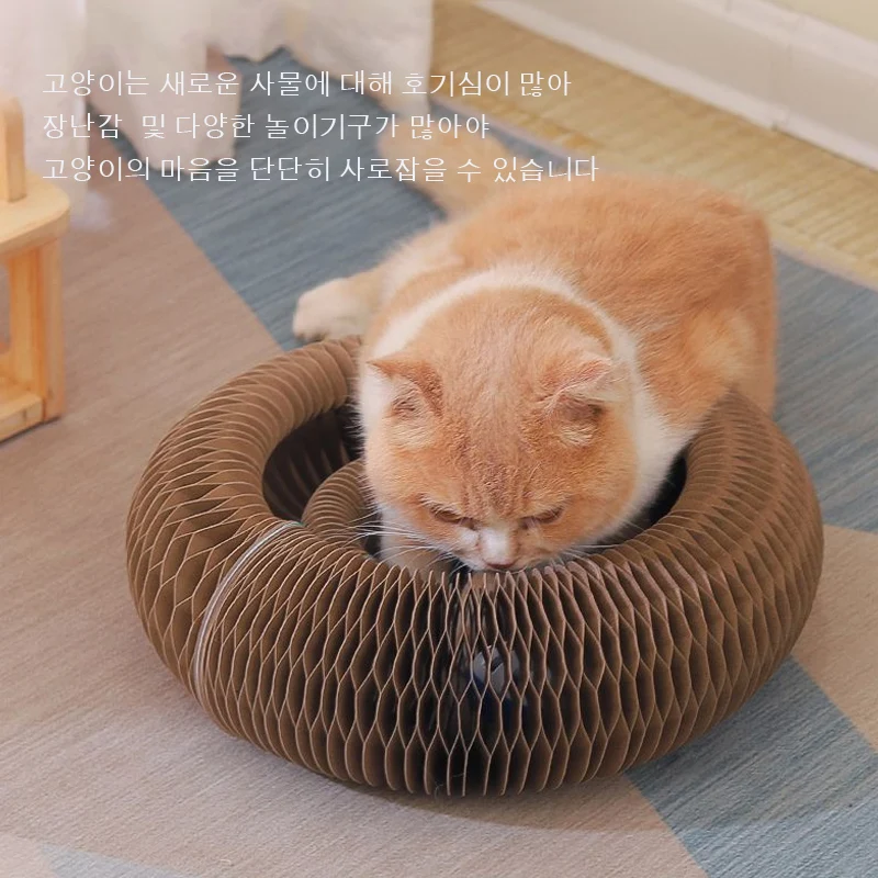 오르간야웅이장난감